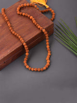 The Divine Rudraksha Mala