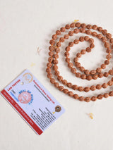 The Divine Medicated Rudraksha Mala